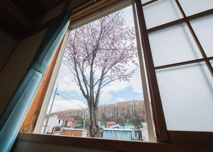 旭川美瑛 Sakura 西神楽